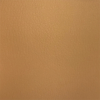 Mocha