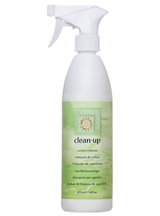 Clean+Easy Clean-up Surface Cleanser - 16 oz 