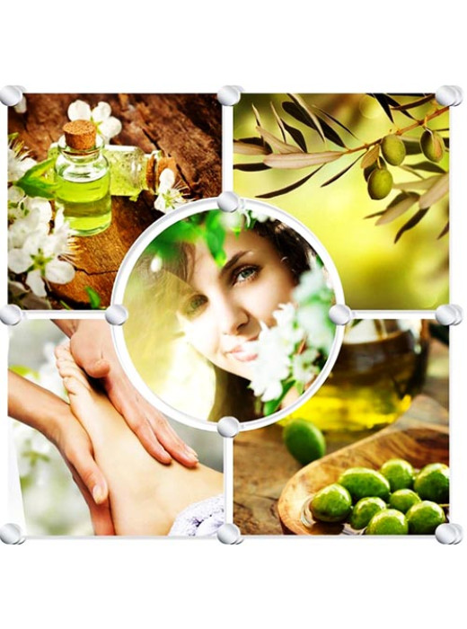 Glass Murals OLIVE GARDEN 