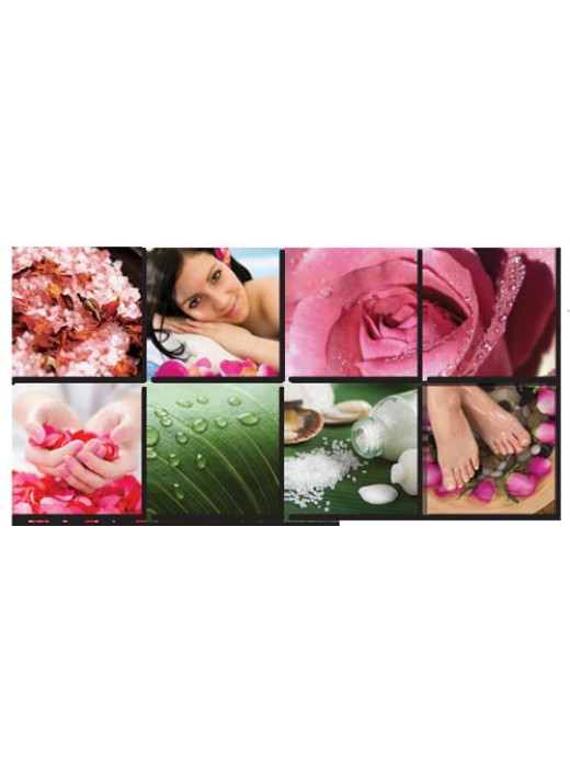 Canvas Mural Fresh Pink II Ensemble