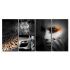 Canvas Mural ANIMAL ATTRACTION 