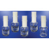 Empty Clear Glass Polish Bottle