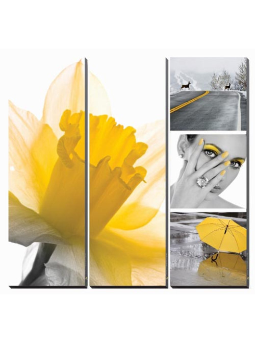 Canvas Mural FRESH DAFFODIL