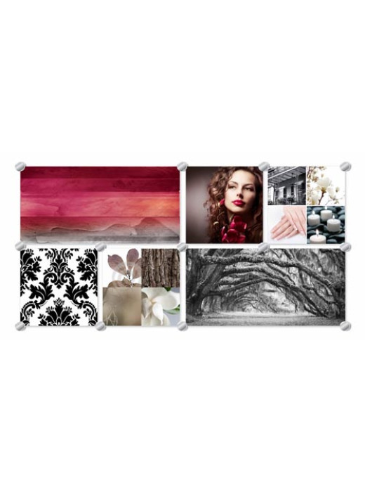 Glass Murals SOUTHERN MAGNOLIA