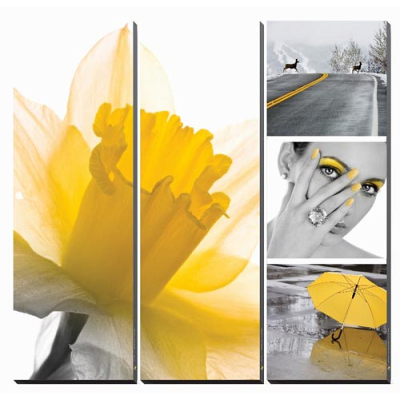 Canvas Mural FRESH DAFFODIL