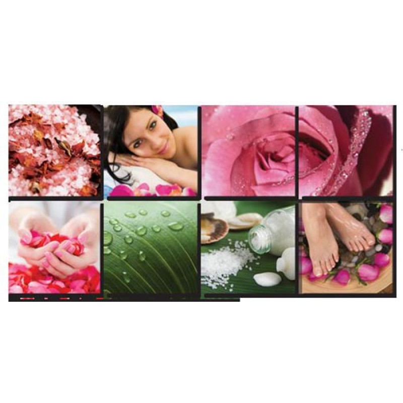 Canvas Mural Fresh Pink II Ensemble
